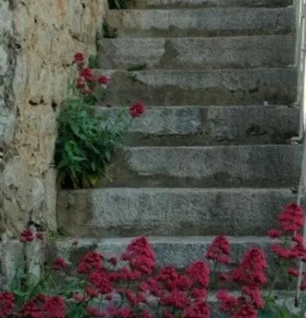 Bedroom For 1, In 100 Y Old Dalmatian House, Under Mountain, 14 Km To Np Krka, 35 Mins Drive To *